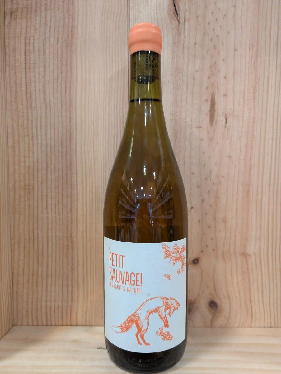 Petit Sauvage Orange image