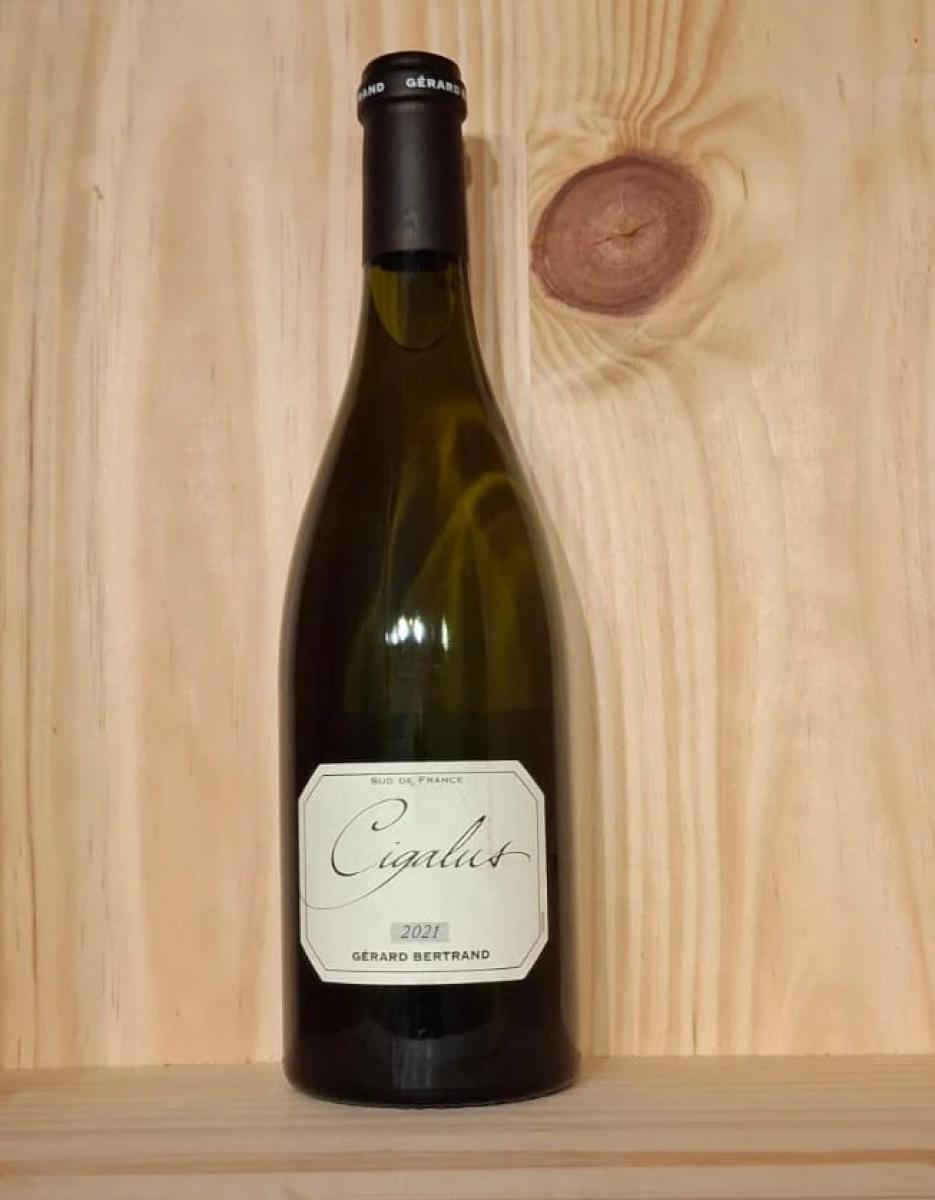 Bertrand Cigalus White image