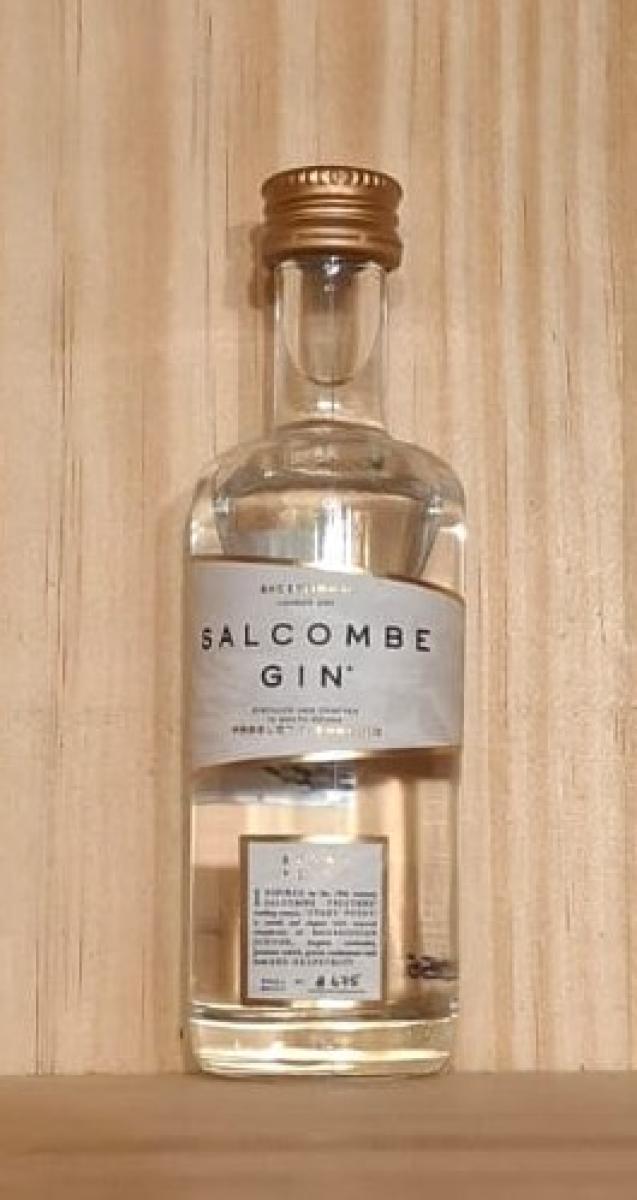 Salcombe Miniature image